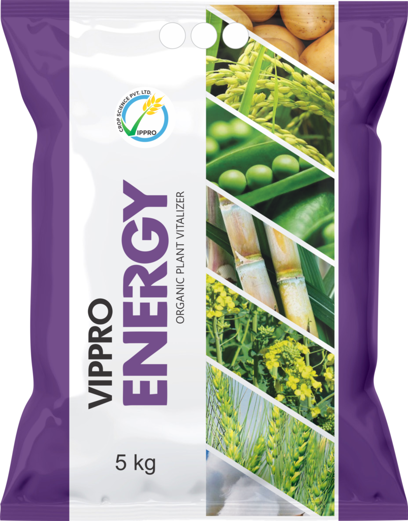 Vippro Energy PGR Product